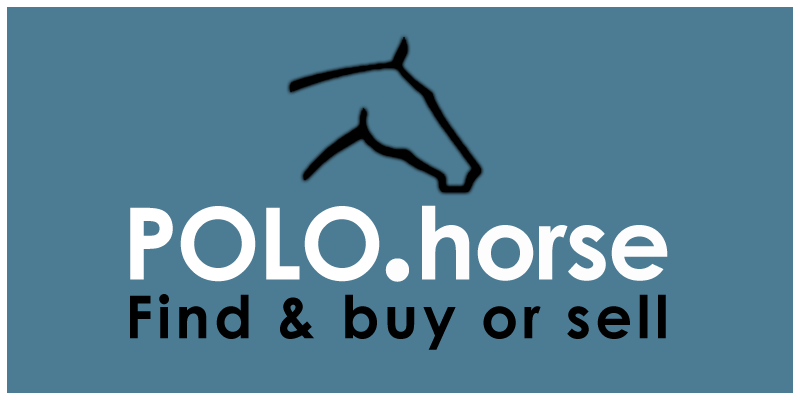 POLO.horse - Find, buy and sell you polo horse worldwide !